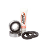 Rear Wheel Bearing Kit