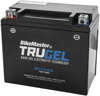 TruGel MG14-BS Gel Cell Battery - Replaces YTX14-BS