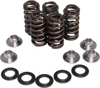 Racing Valve Spring Kit - For 01-08 Yamaha YFM660 YXR660