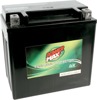 Maintenance Free Sealed Battery - Replaces YTX14-BS