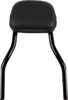 Cobra Detachable Backrest System Black