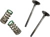 Steel Exhaust Valve/Spring Kit - For 01-13 Yamaha WR250F YZ250F