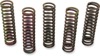 Barnett Clutch Spring Kit