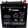 AGM Maintenance Free Battery YIX30L-BS