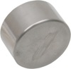 Performance Machine Piston 1.125 x.625 S/S Reg