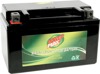 Factory Activated YTZ AGM Maintenance Free Battery 190CCA 12V 8.6Ah - Replaces YTZ10S