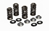 Titanium Racing Valve Spring Kit, 0.395" Lift - For 14-18 Yamaha YZ250F & 14-19 WR250F & YZ250FX