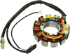 Stator - For 02-06 Arctic Cat King Mountain Sabre cat ZL ZR 500-900