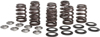 Valve Spring Kit Beehive 0.465 Lift Titanium