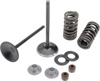 Intake Valve & Spring Conversion Kit - Honda CRF250R/X