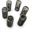 CSK Series Clutch Springs +15%