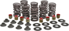 Valve Spring Kit - Light Racing w/ HT Steel Retainers