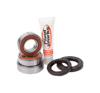 Rear Wheel Bearing Kit - For Suzuki DRZ400 E/S/SM