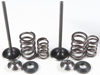 Intake Valve & Spring Kit Stainless Steel